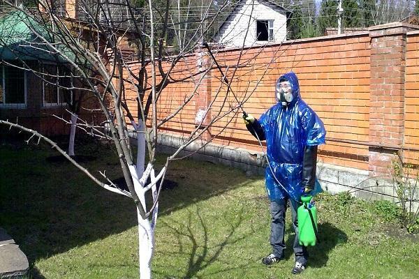 заштита када се лечи фунгицидом