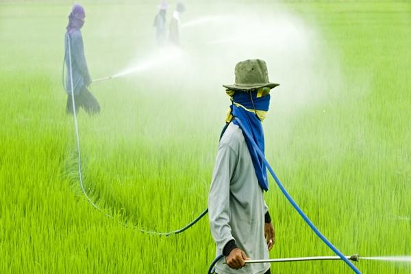 Arbeit mit Herbiziden auf dem Feld