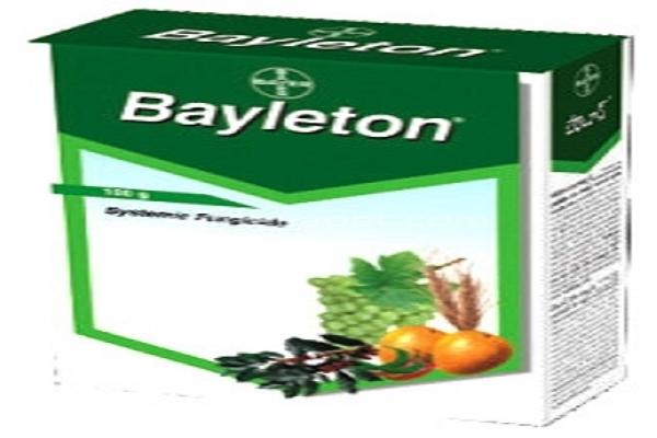 „Bayleton“ pakuotė