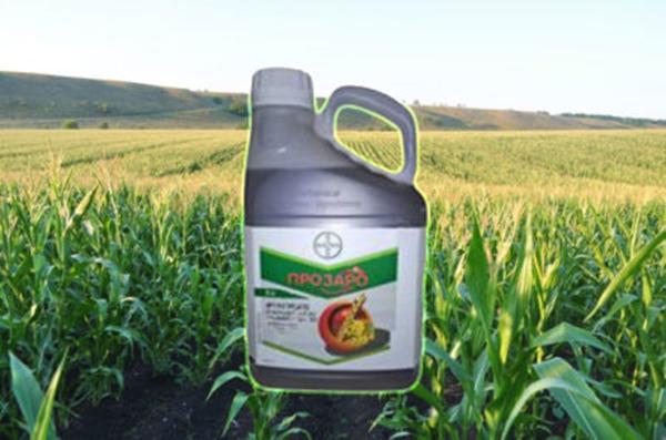 fungicide Prozaro