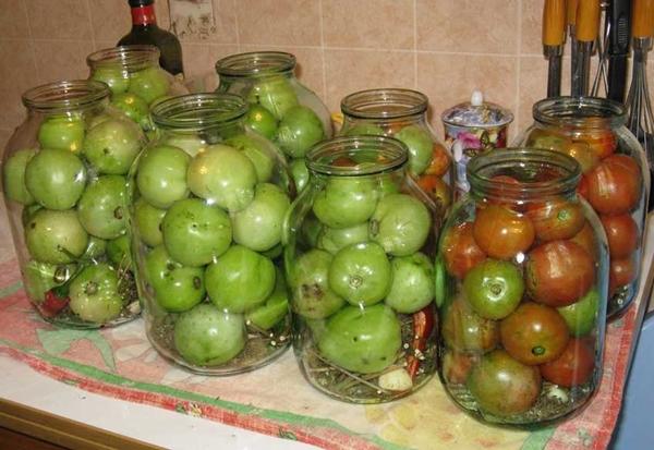 Gießen Sie grüne Tomaten
