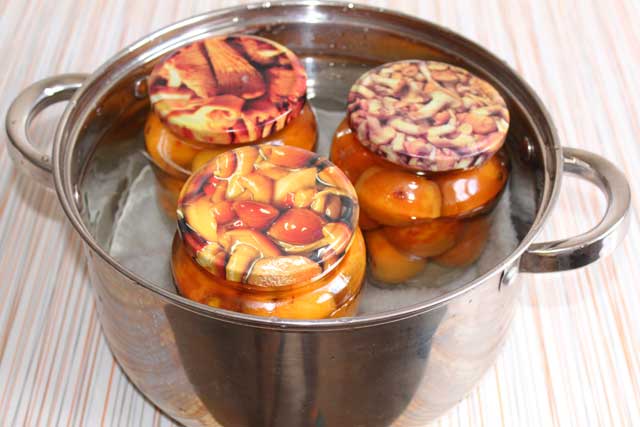 damascos sem cozinhar