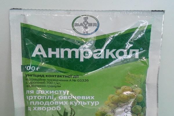 fungicide Antracol