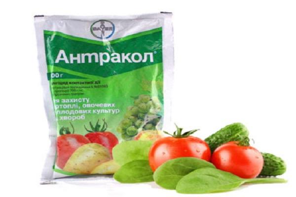 preparation for vegetables