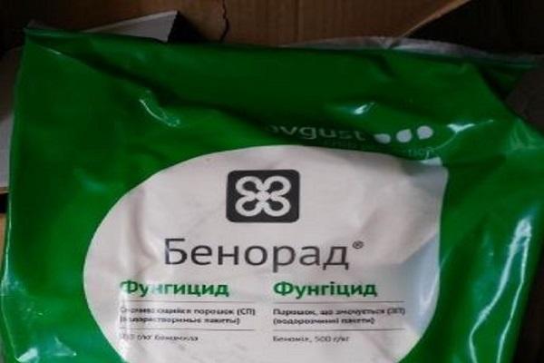 fungicyd Benorad