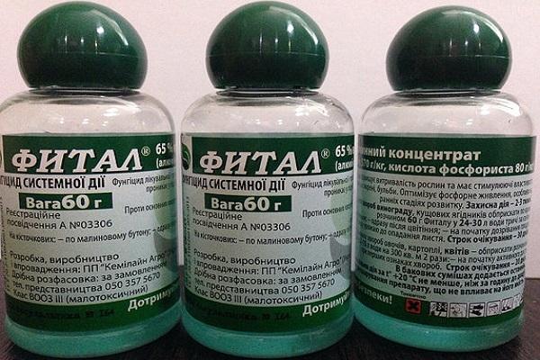 jars of medicine