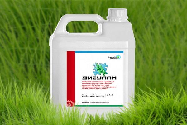 Chemie aus Disulam