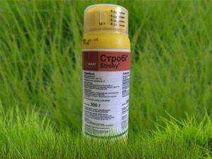 Instructions for use of the Strobi fungicide, mechanism of action and analogs
