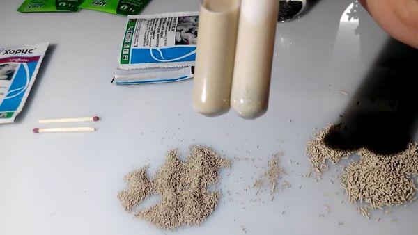 Horusová droga