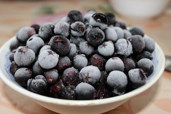 Chokeberry