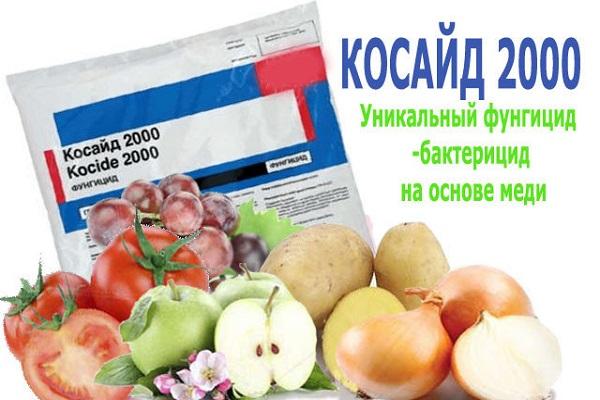 Косиде за поврће
