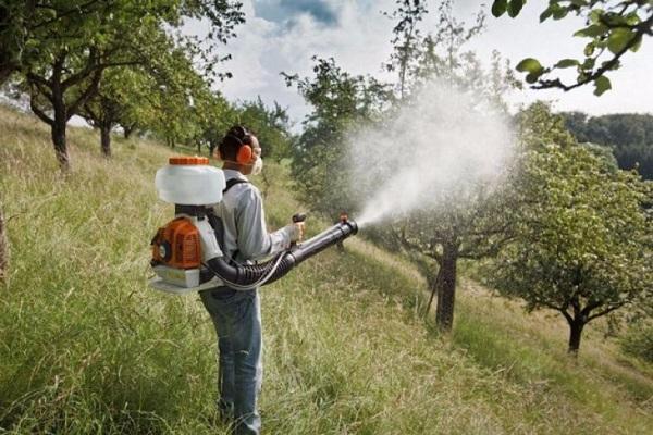 spray træer