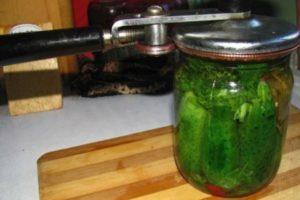 Krok za krokom recept na nakladané uhorky v Berlíne na zimu