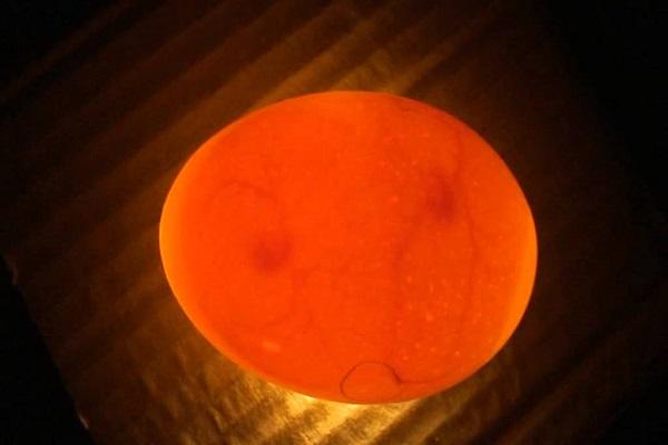 círculo laranja