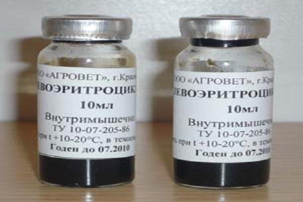 везикуле левоеритроциклин