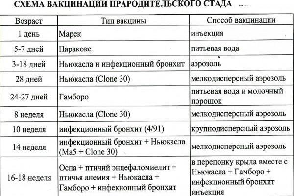 harmonogram szczepień