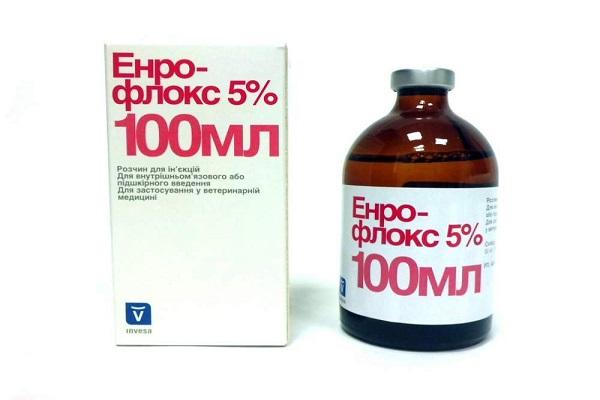 butelka Enroflox