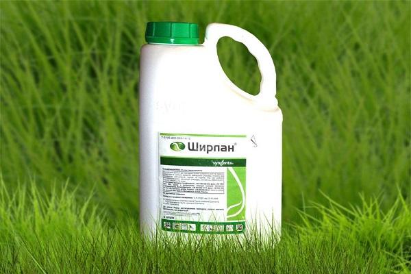 fungicide Shirlan