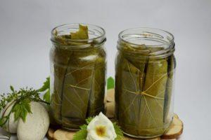 3 PRINCIPAIS receitas de pepinos em conserva em água mineral para o inverno