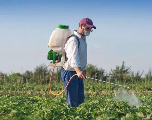 ריסוס צמחים