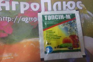 Hướng dẫn sử dụng thuốc trừ nấm Topsin M và cơ chế tác dụng