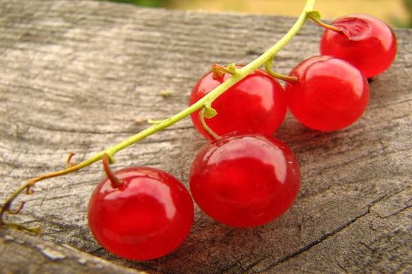 currant berries