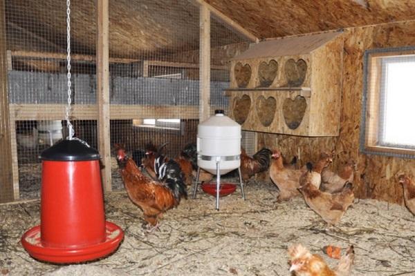 habitació des de dins
