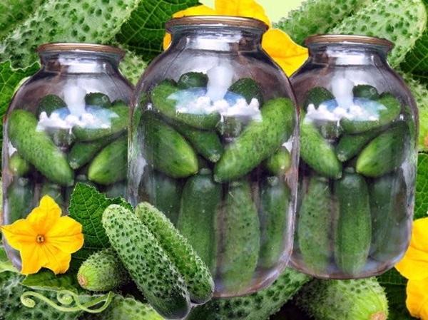 pepinos com uma vela para o inverno