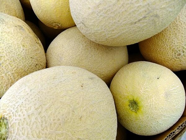 Koi-tårnmelon