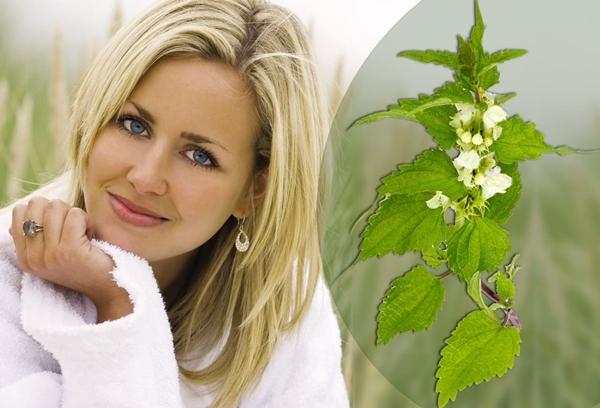 The benefits of nettle for women