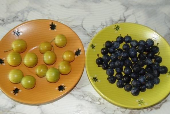 κεράσι δαμάσκηνο και αγκάθι