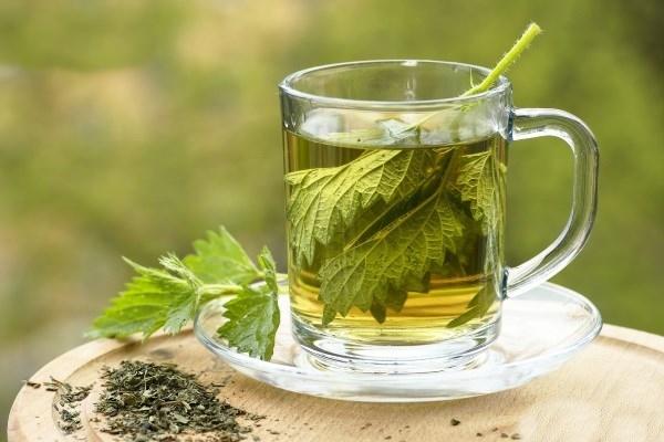 Nettle decoction