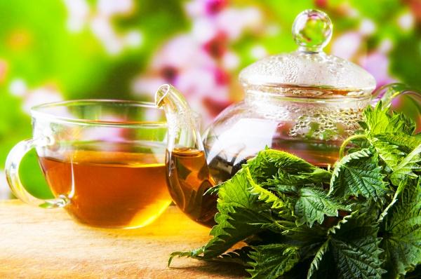 Nettle tea