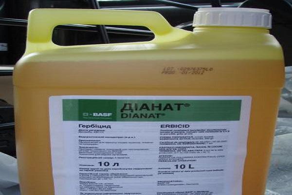 butelka Dianat