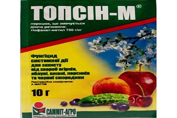 Топсин лек