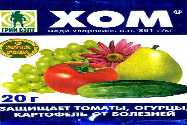 Опис 24 најбоља фунгицида у врту, механизам деловања и упутства за употребу