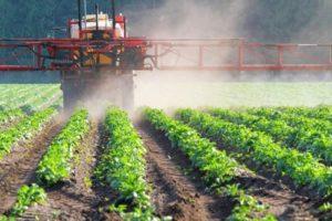 Instructions for use and spectrum of action of herbicides, varieties and description of the best