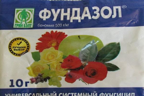 drug Foundationol