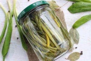 9 step-by-step recipes for making pickled wild garlic for the winter at home