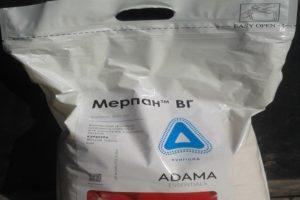 Instrukcja użycia i mechanizm działania fungicydu Merpan, wskaźniki zużycia