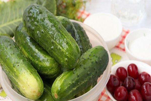 fresh vegetables