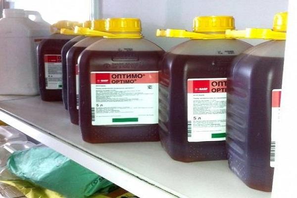 μυκητοκτόνο Optima