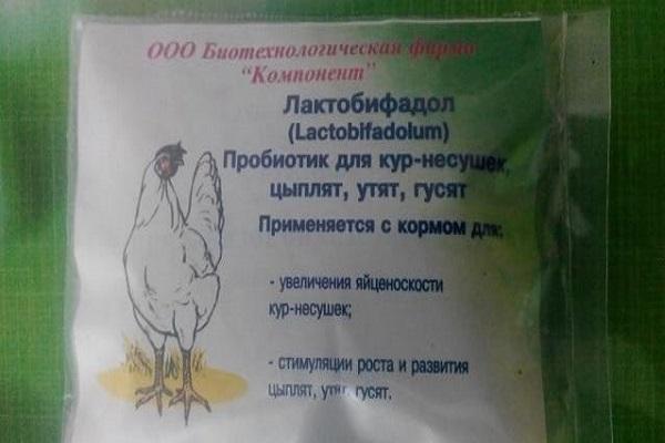 лек Лактобифадол