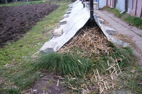 a pile of hay