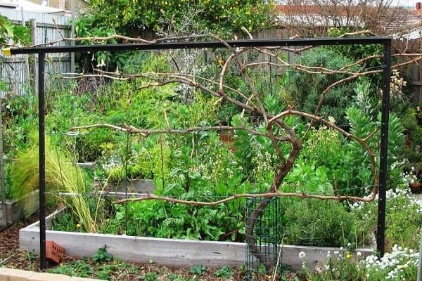 Unterstützung im Garten