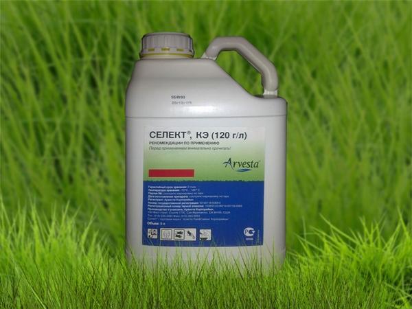 Pasirinkite herbicidą