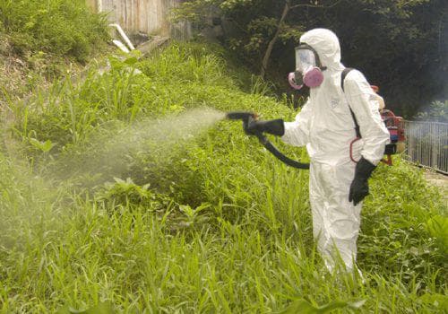 vegetable gardening suit