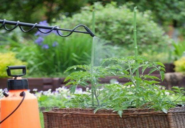 glyphosate herbicide