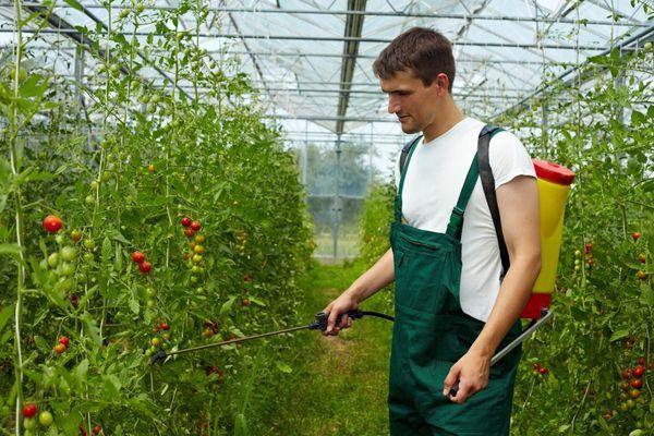 herbicide brine