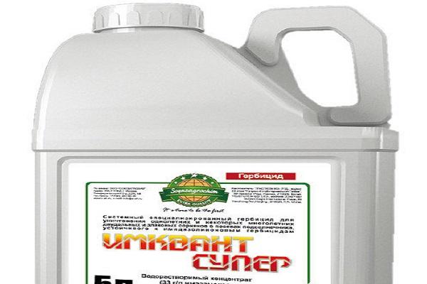 Hướng dẫn sử dụng thuốc diệt cỏ Euroland, cơ chế hoạt động và tỷ lệ tiêu thụ